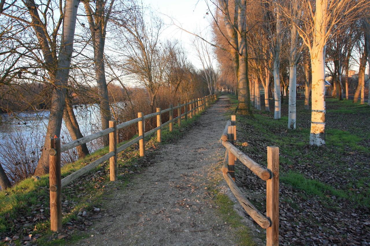 Bardal De Huerta